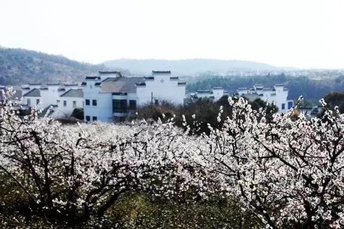 守城英雄传